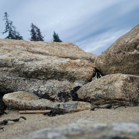 Meet your Posher, Maci - Picture 10 of 11